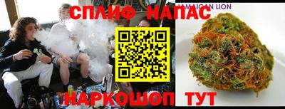 шишки Моздок