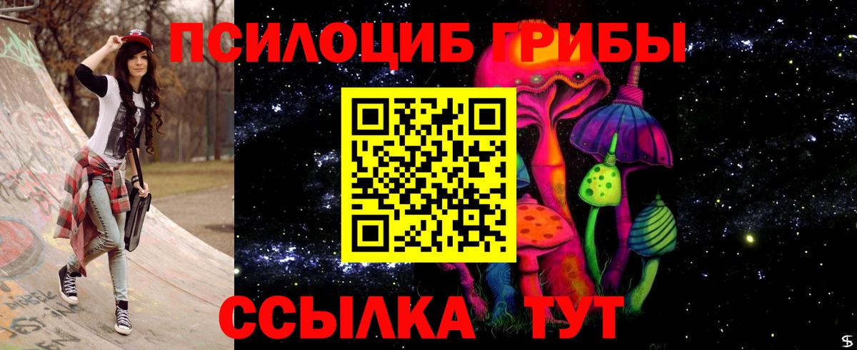 Псилоцибиновые грибы MAGIC MUSHROOMS  Вход с VPN  Владивосток  где купить наркоту  Галлюциногенные грибы Psilocybine cubensis 
