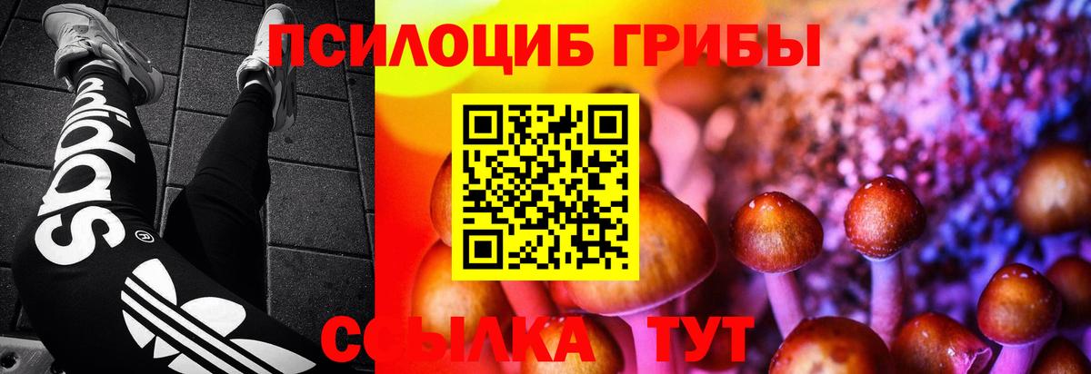 Псилоцибиновые грибы Magic Shrooms Владивосток